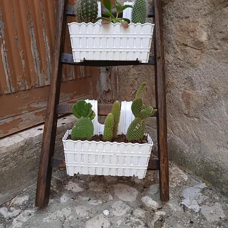 Nni Turiddu Feriehus *